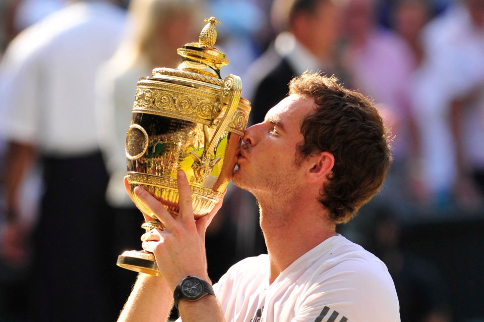 He won Wimbledon twice but now he has to figure out what to do next