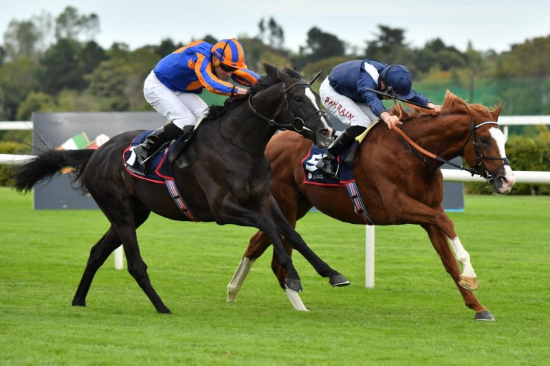 Economics wins the Group 1 Irish Champion Stakes, a "Win and you're in" for the Breeders' Cup Turf. Photo by and courtesy of Katsumi Saito